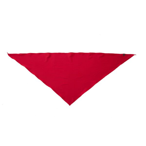 LUNA Swim Neck Buff - Ribes